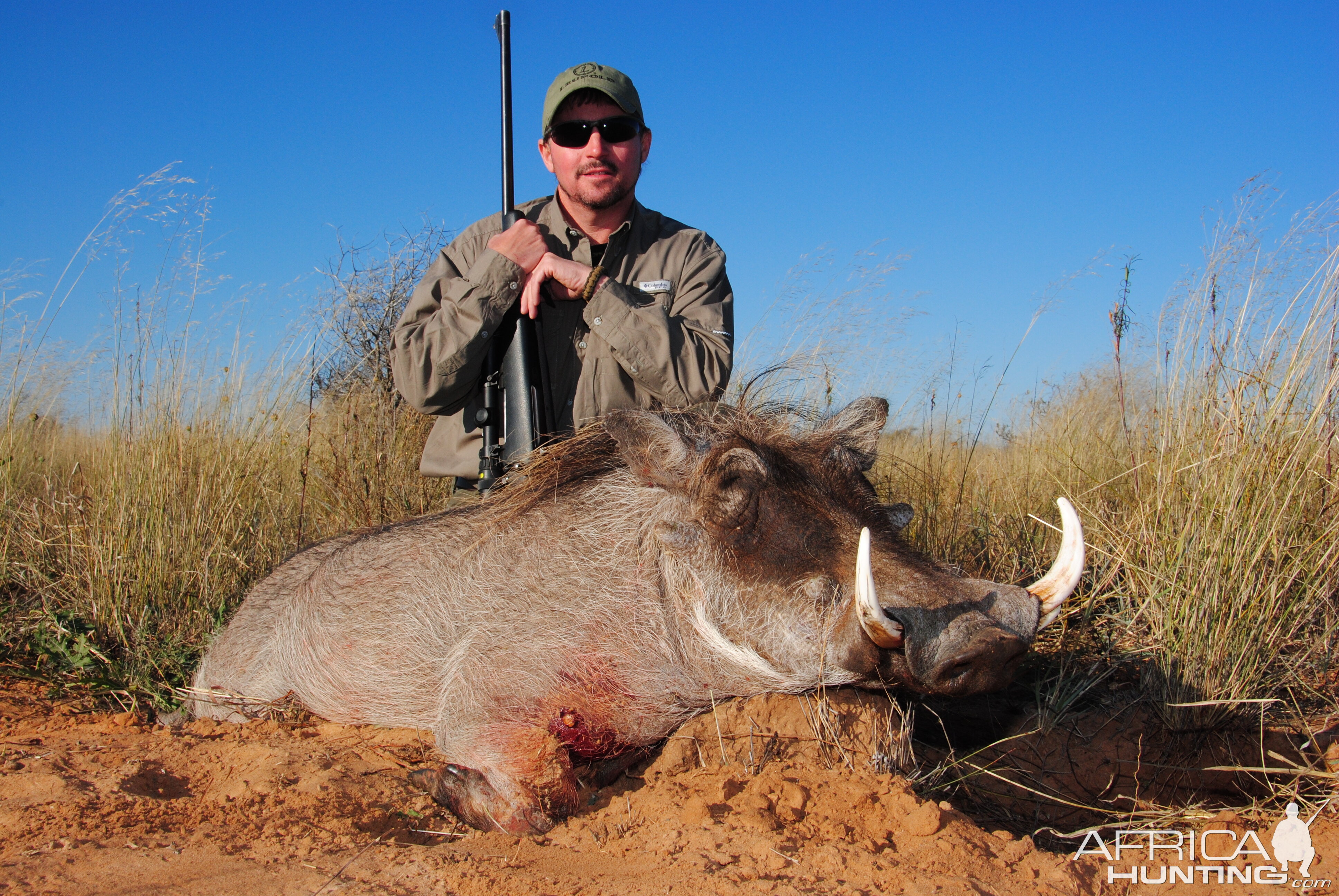 Hunting South Africa Warthog