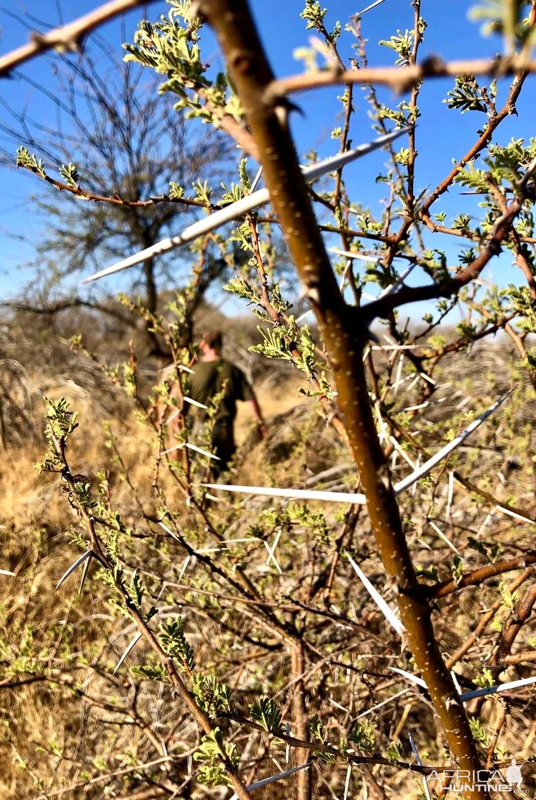 Hunting South Africa