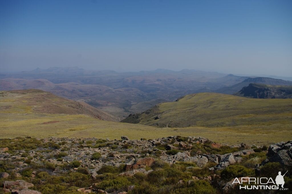 Hunting South Africa