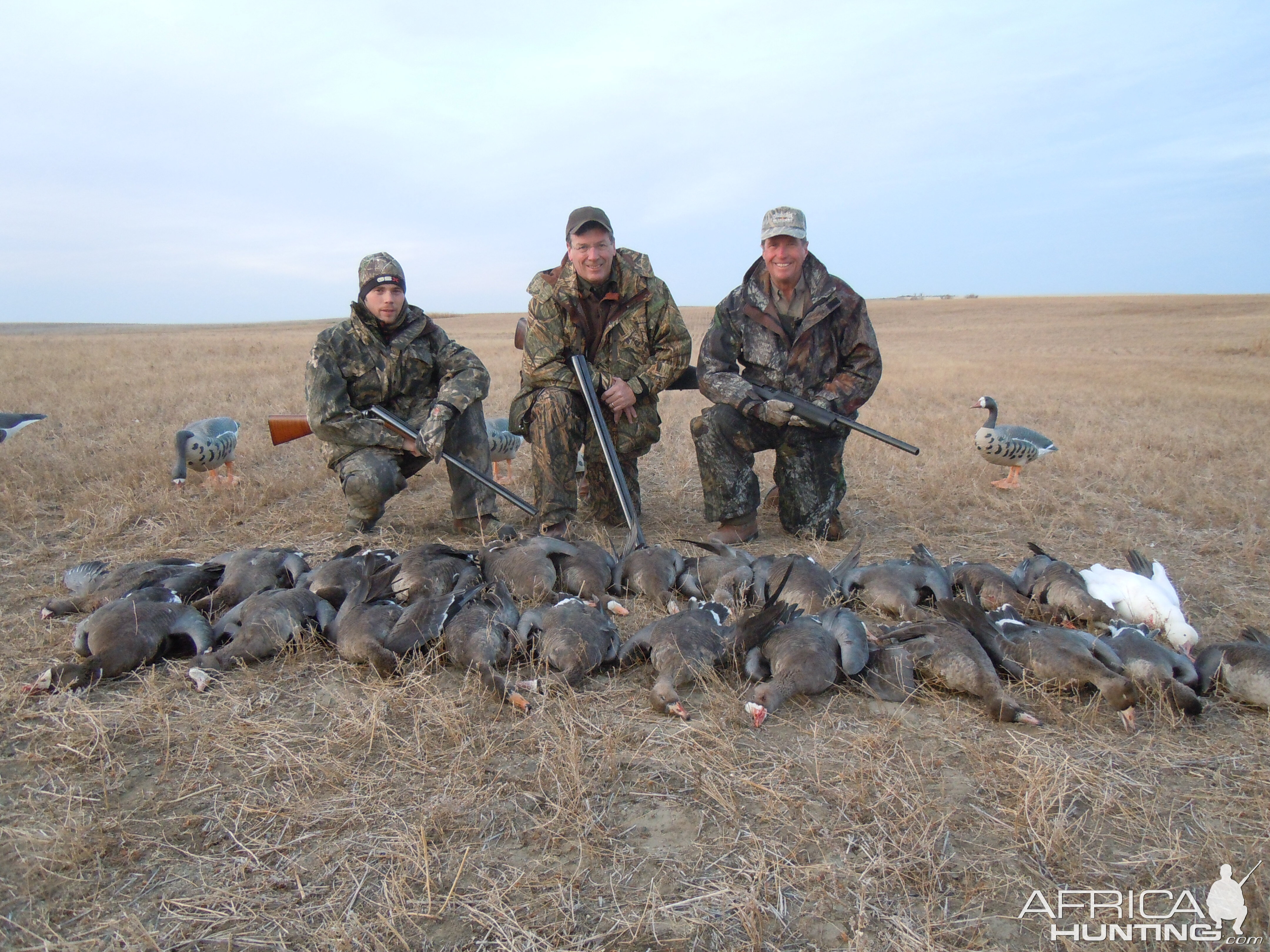 Hunting Specklebelly Geese In Saskatchewan