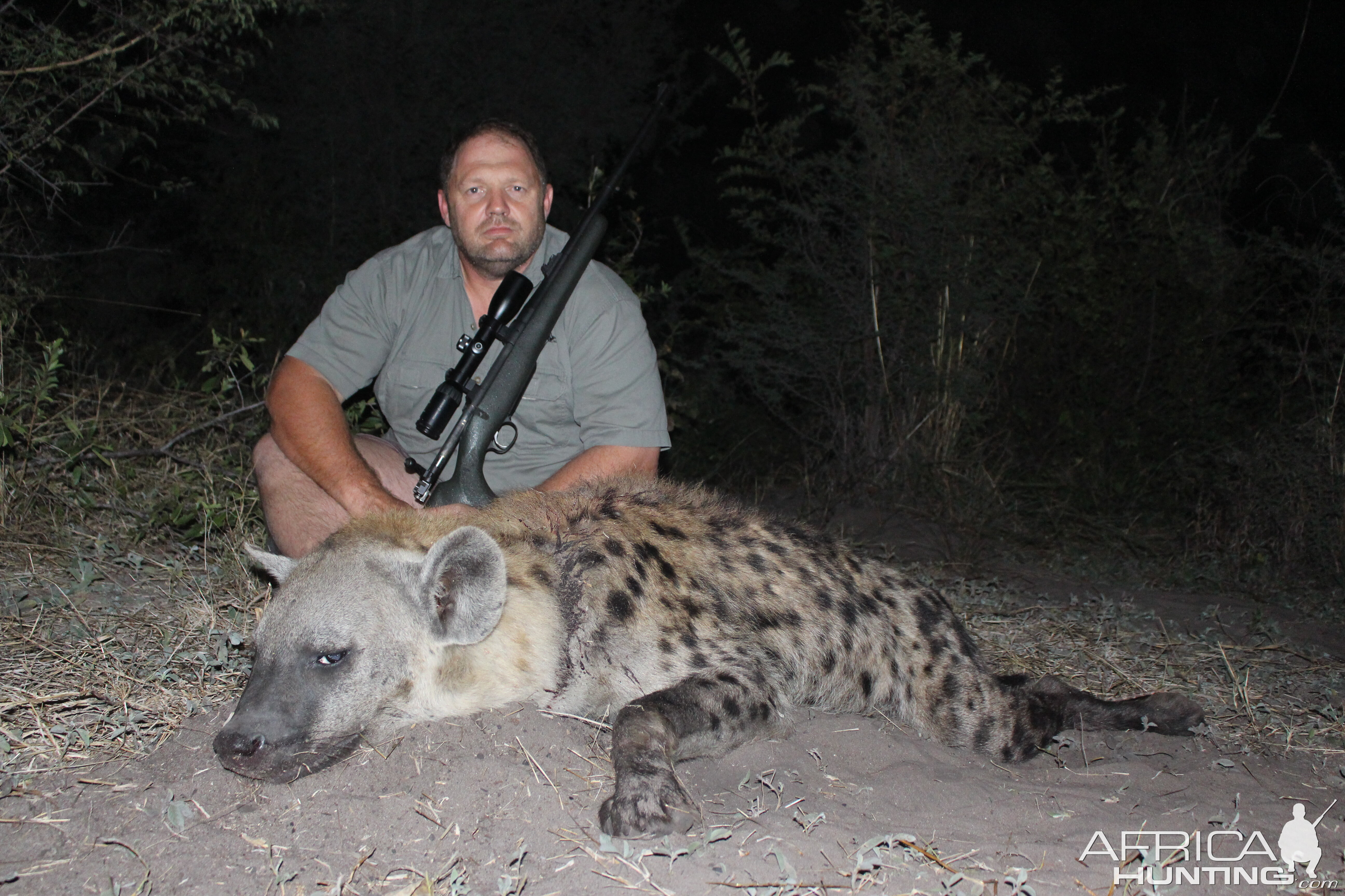 Hunting Spotted Hyena