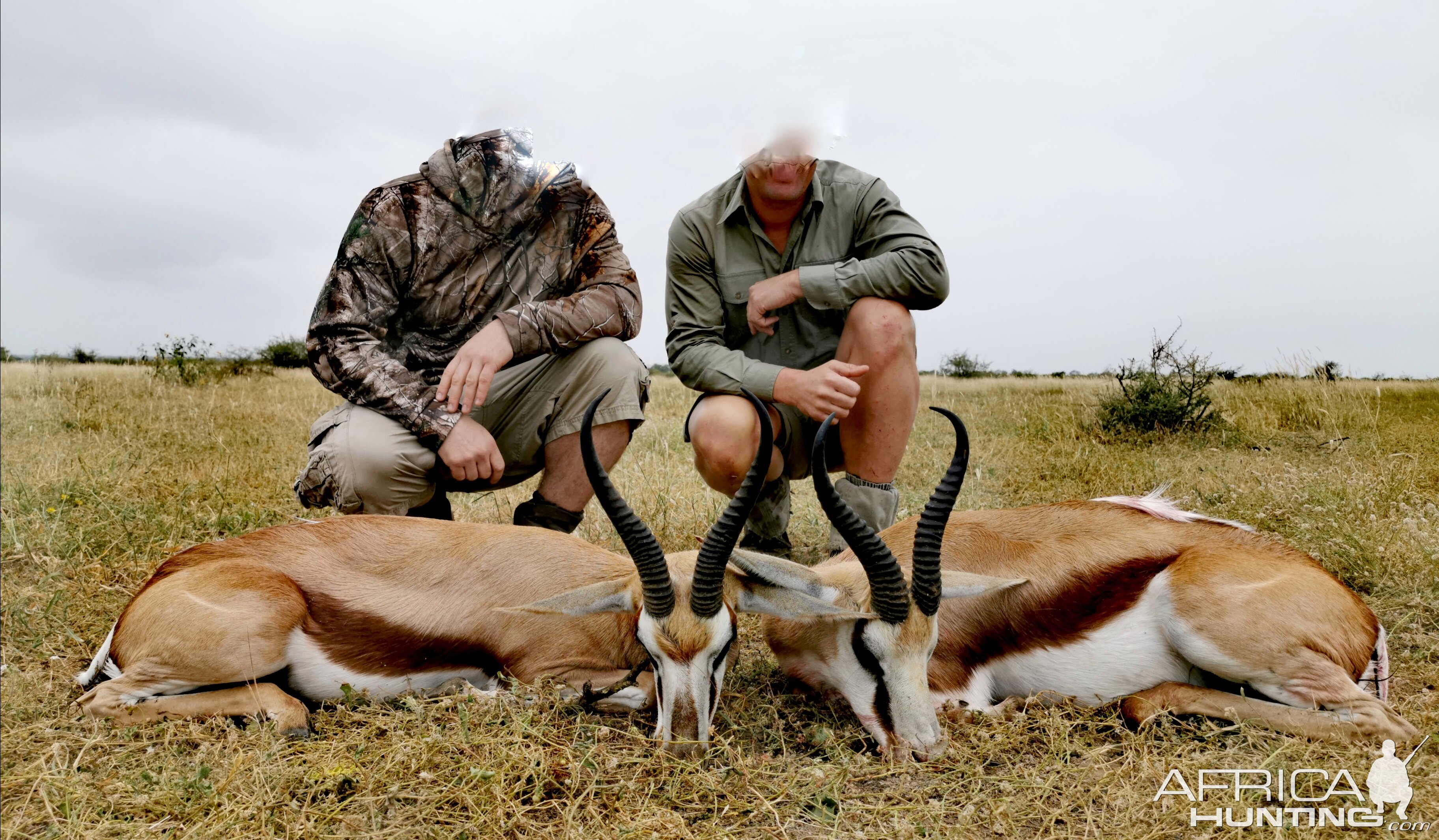 Hunting Springbok in South Africa