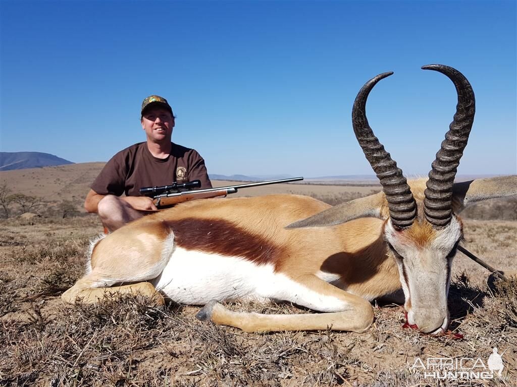 Hunting Springbok South Africa