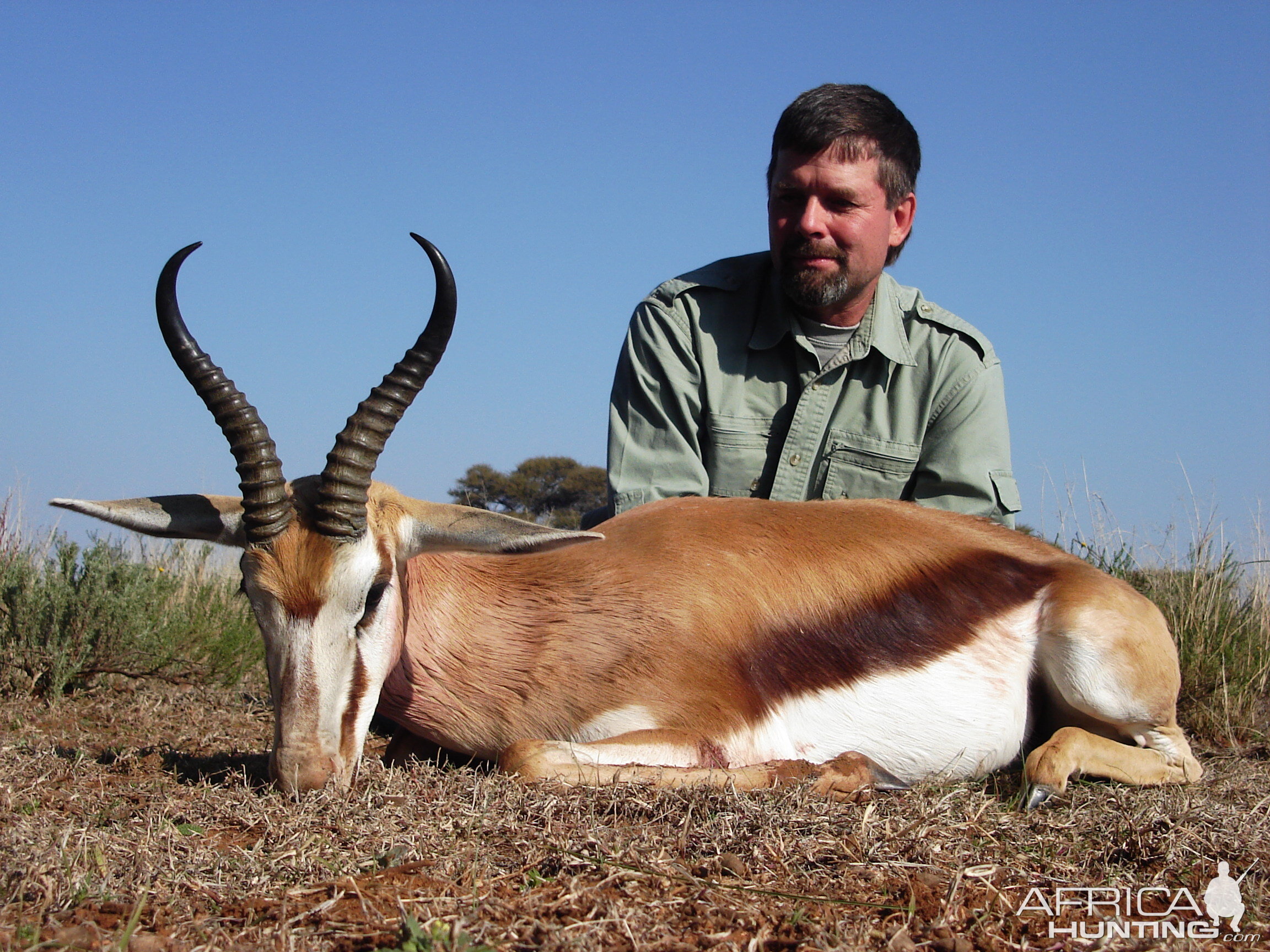 Hunting Springbuck with Wintershoek Johnny Vivier Safaris in SA