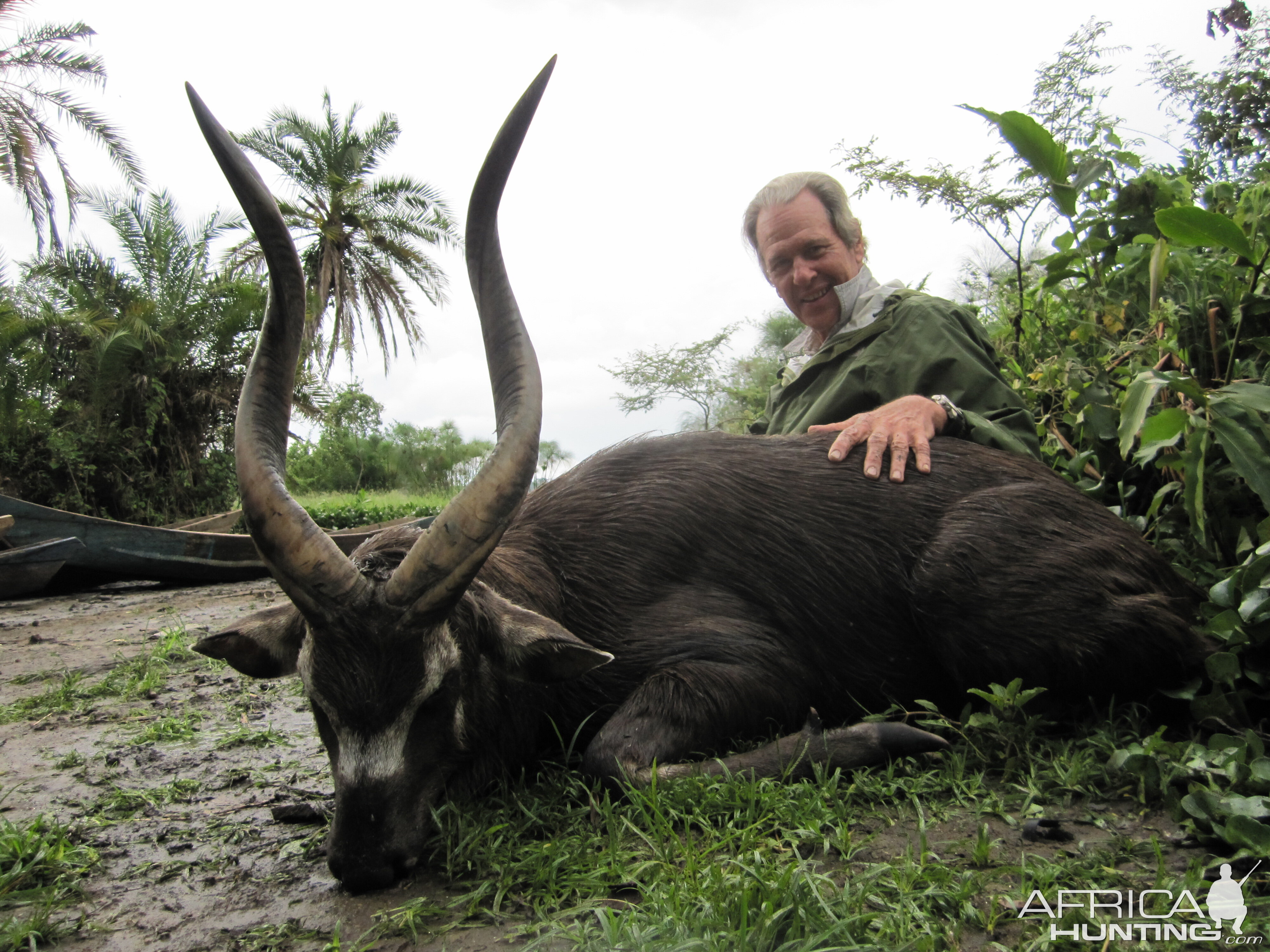 Hunting Ssese Island Sitatunga in Uganda