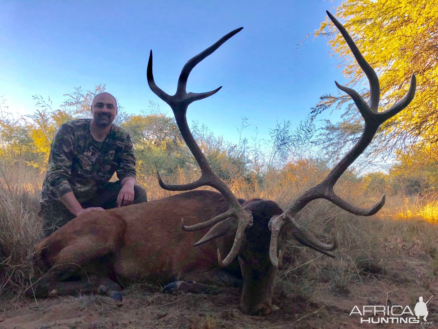 Hunting Stag Argentina