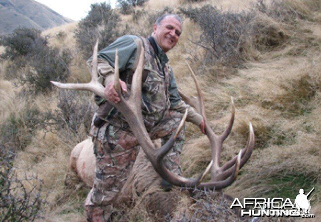 Hunting Stag in New Zealand