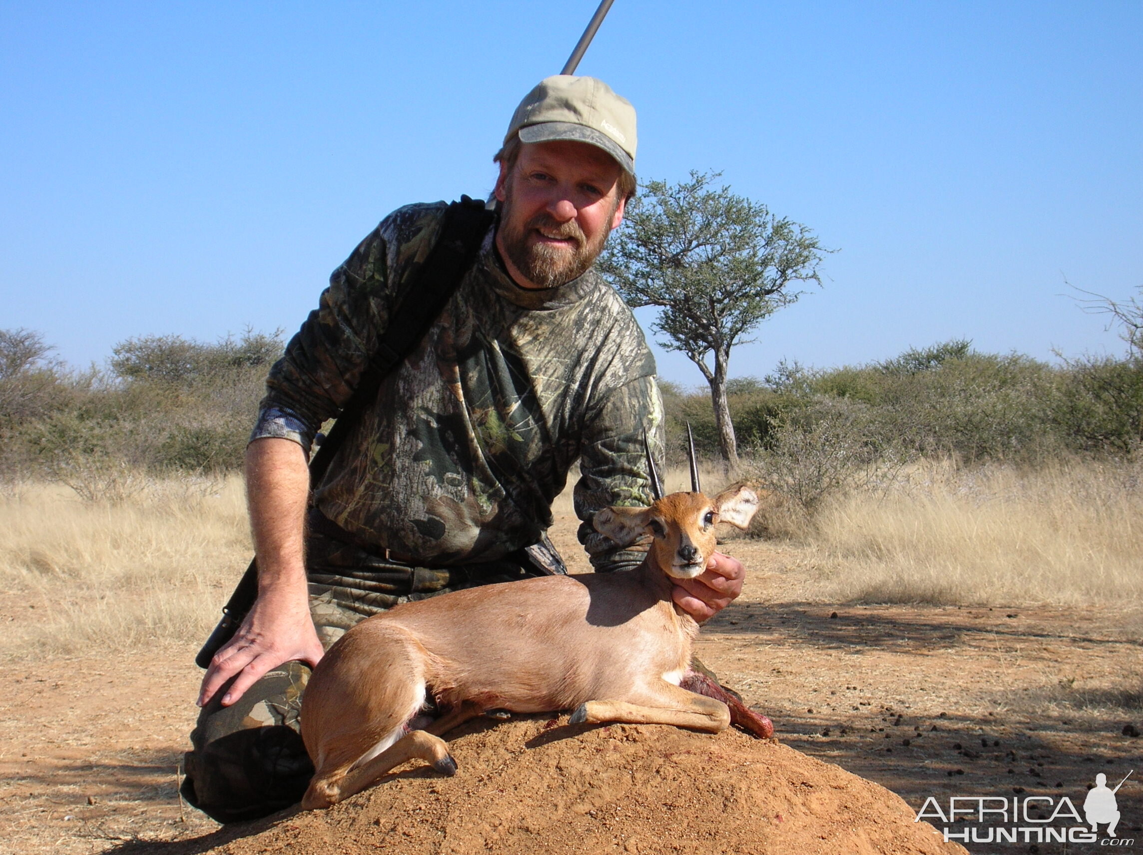 Hunting Steenbok in Namibia