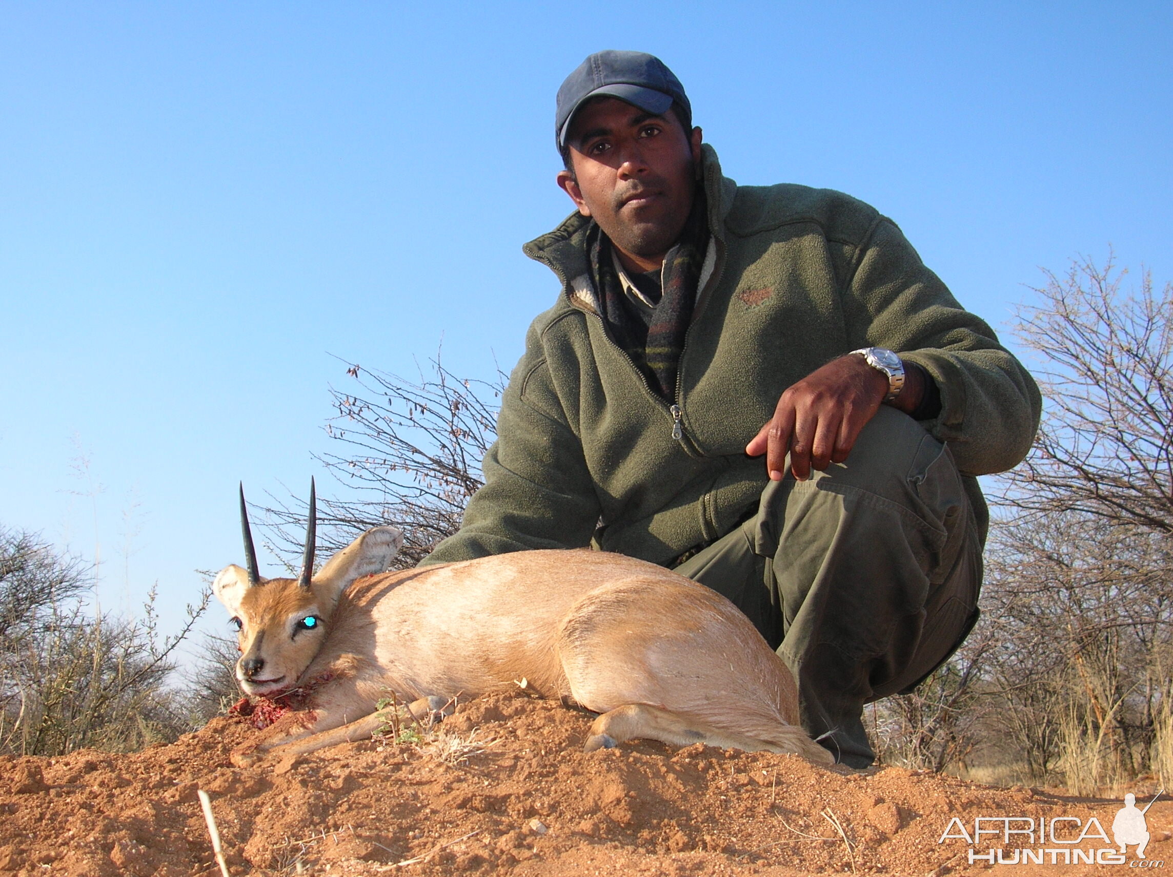 Hunting Steenbok in Namibia