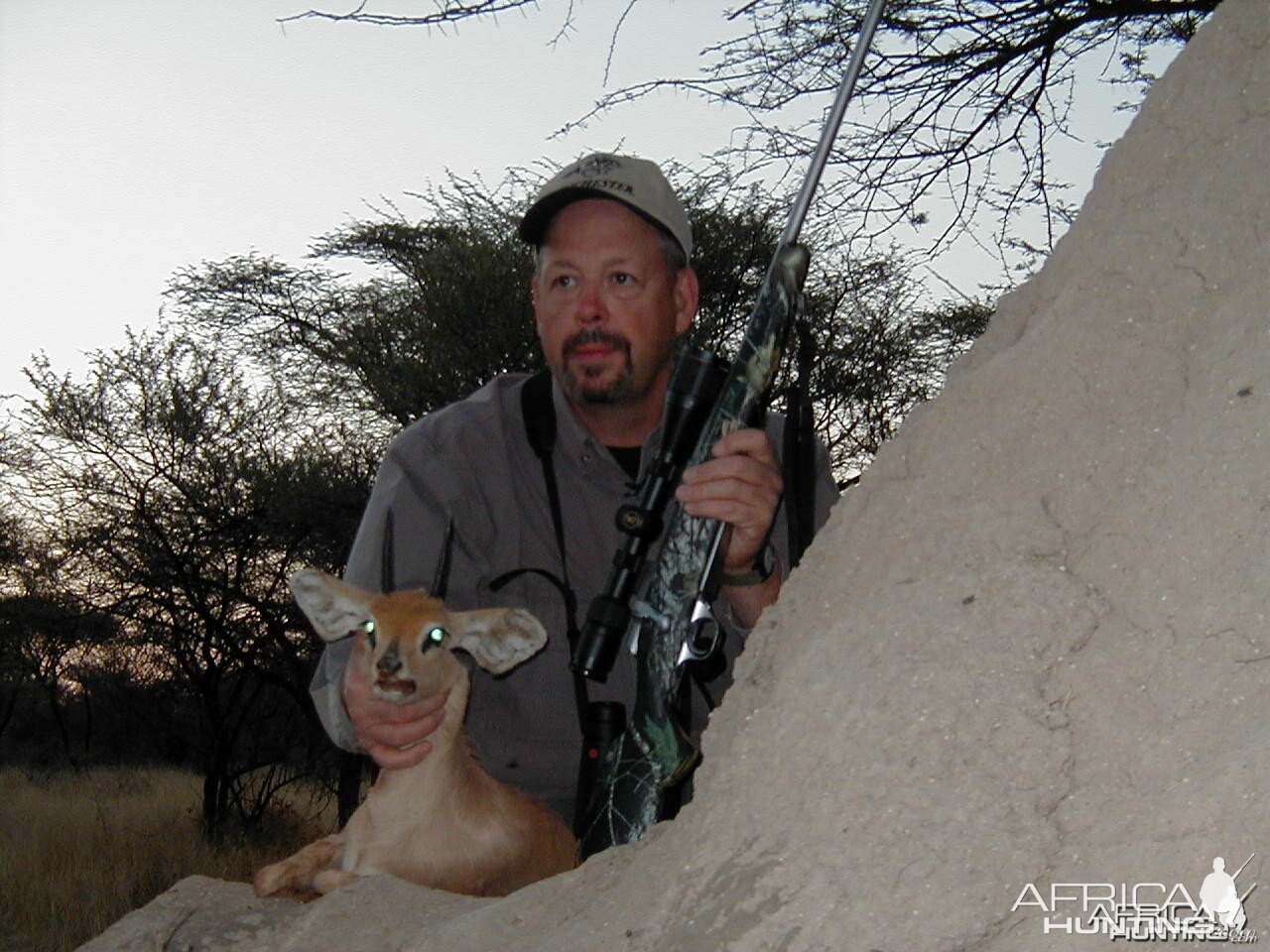 Hunting Steenbok in Namibia