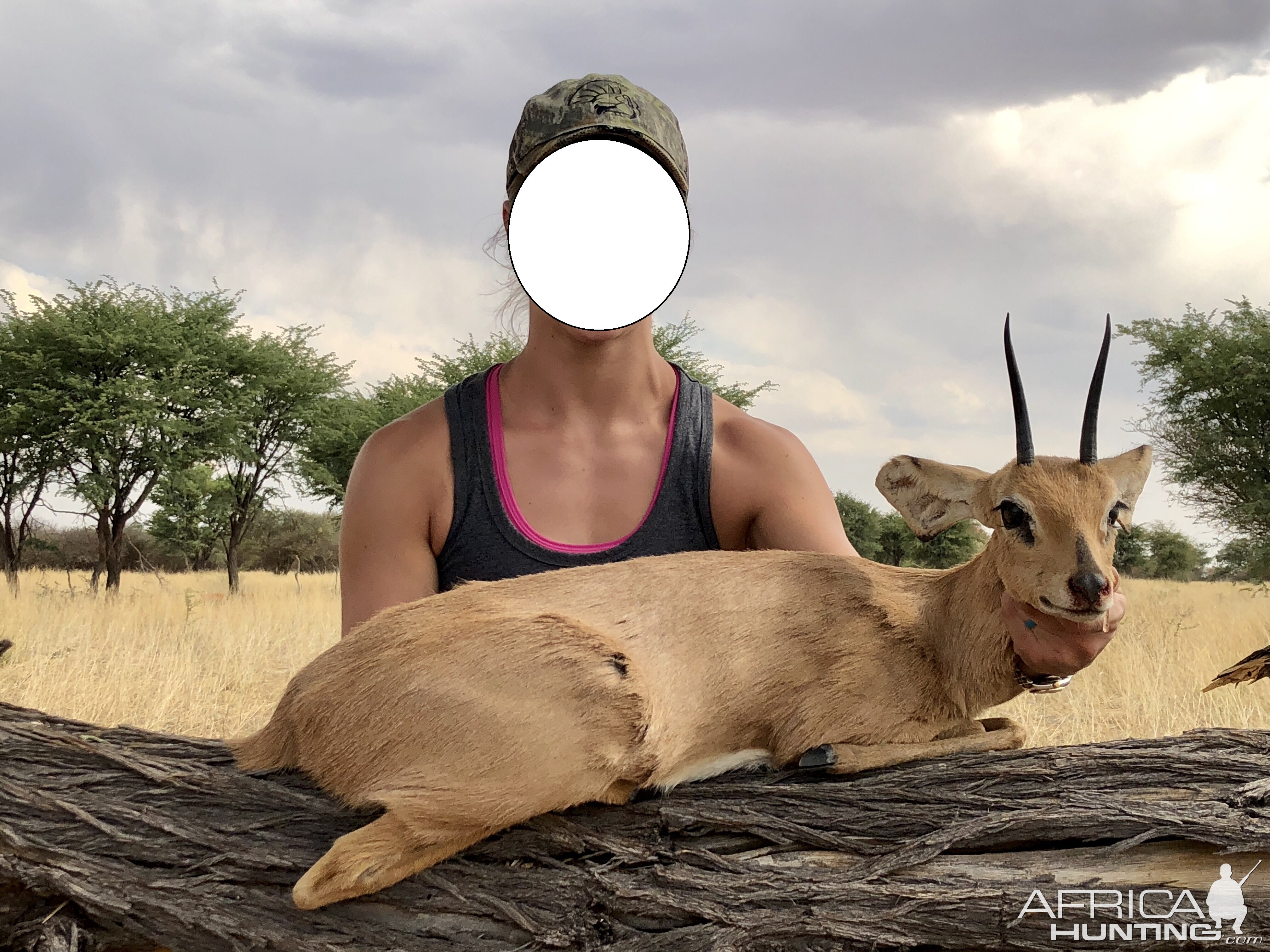 Hunting Steenbok in South Africa