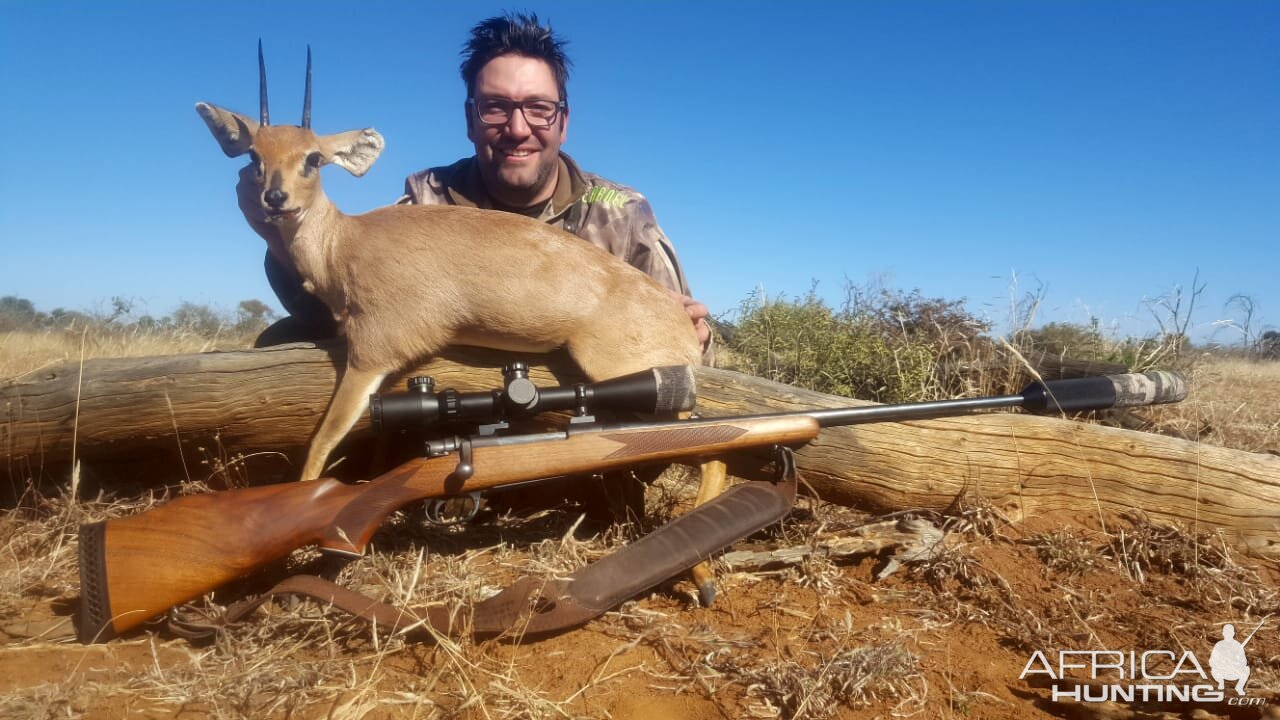 Hunting Steenbok in South Africa