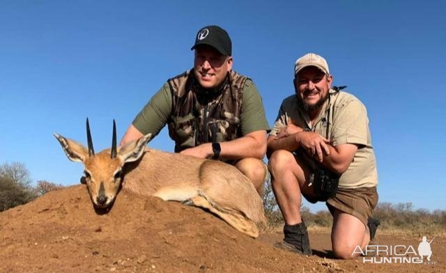 Hunting Steenbok in Zimbabwe