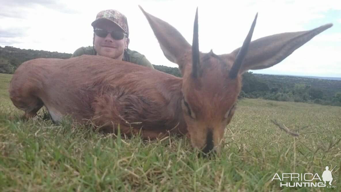 Hunting Steenbok South Africa 3S Safaris