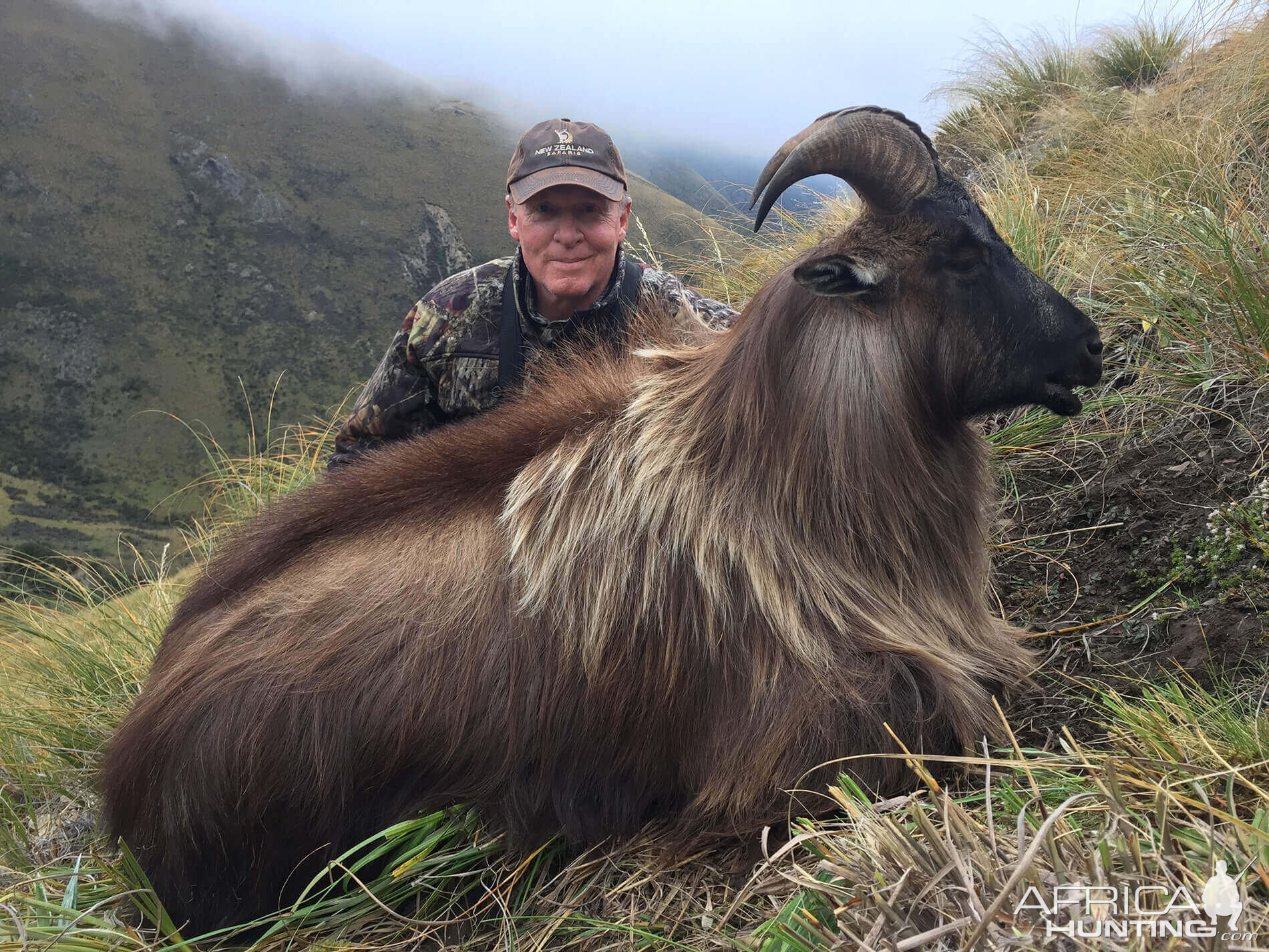 Hunting Tahr in New Zealand