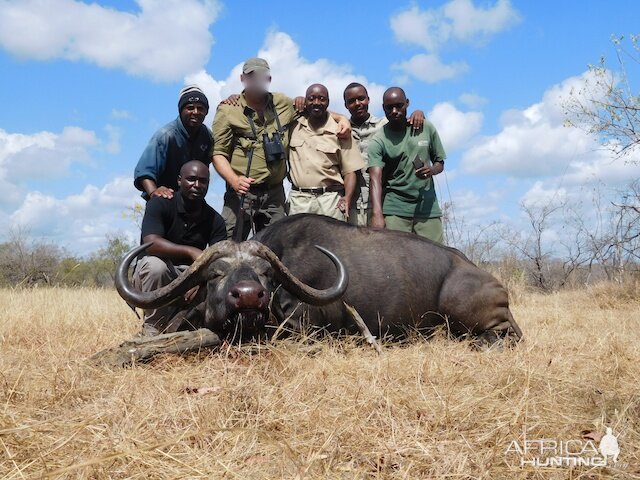 Hunting Tanzania Buffalo