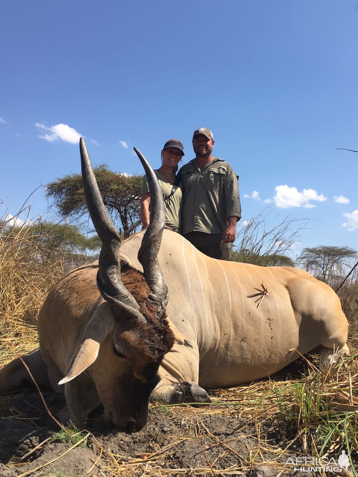 Hunting Tanzania Eland