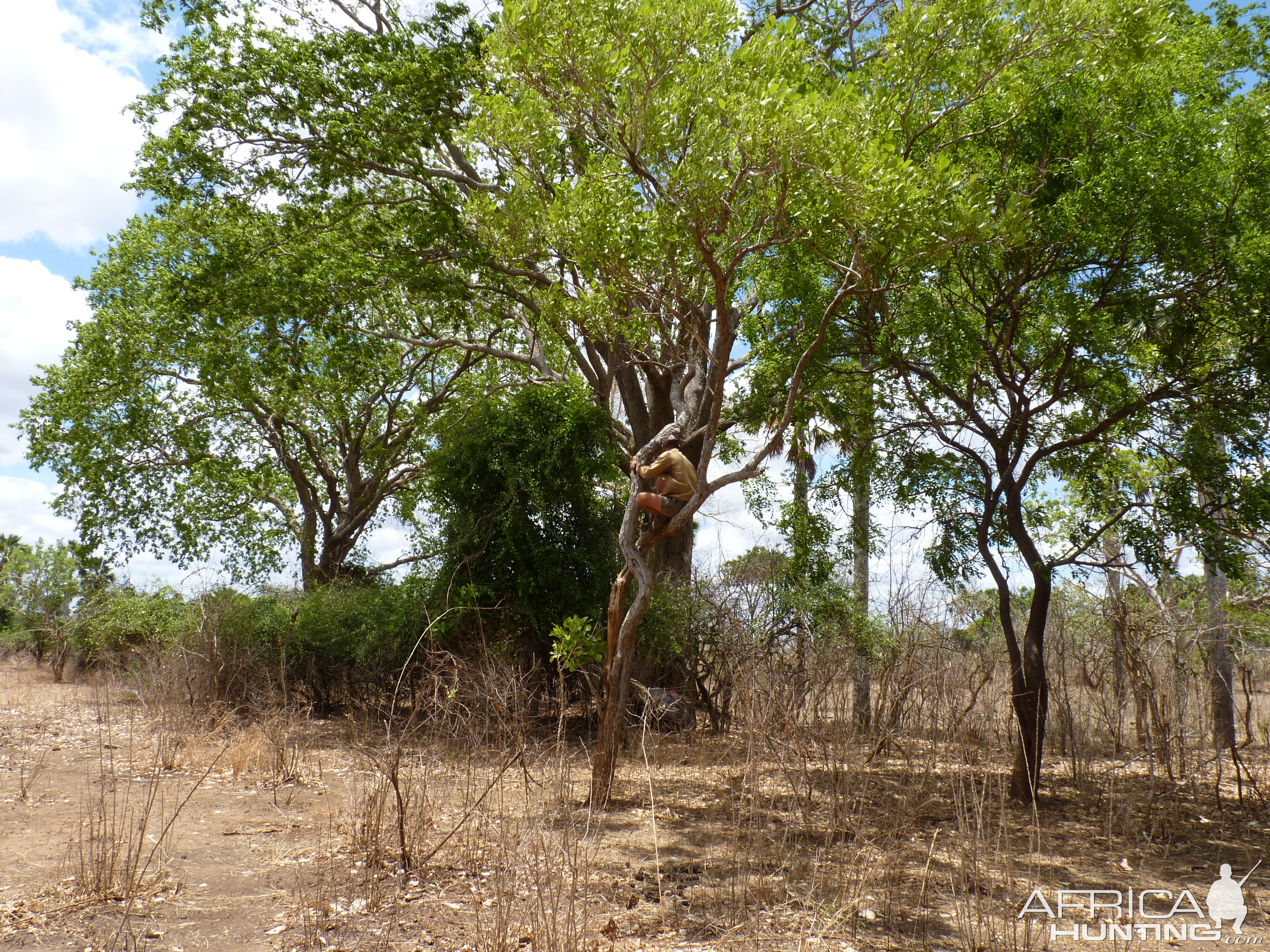 Hunting Tanzania