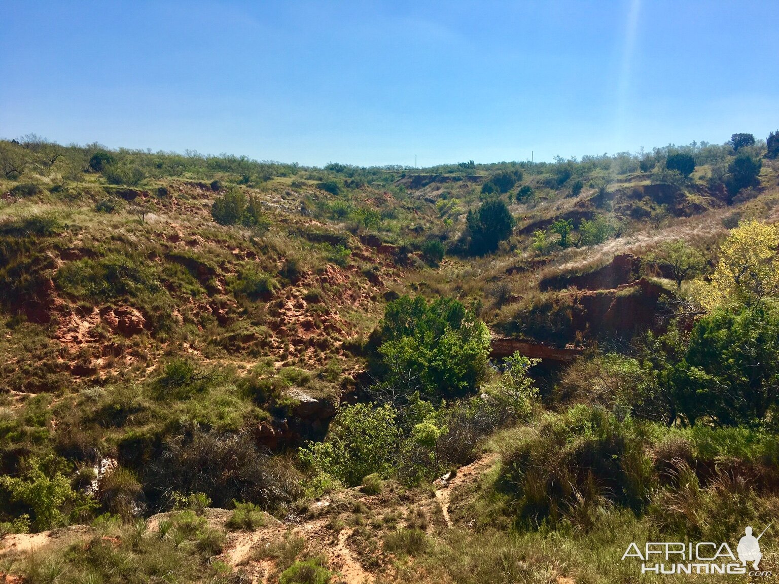 Hunting Terrain Texas USA