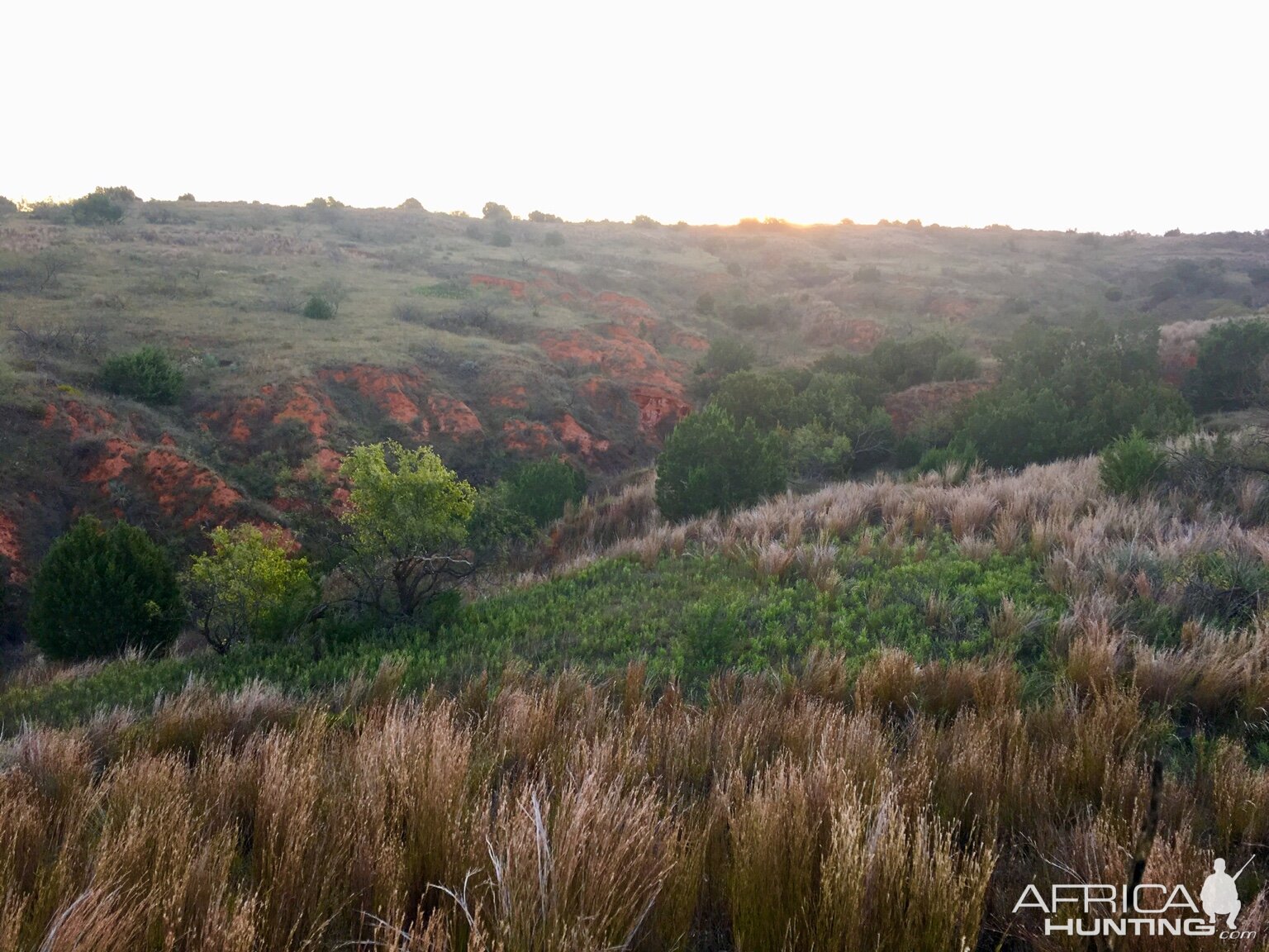 Hunting Terrain Texas USA