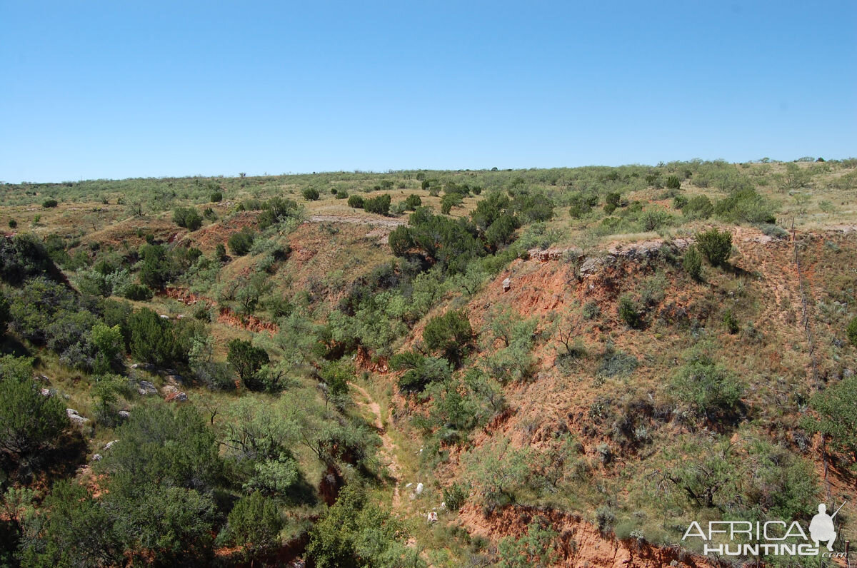 Hunting Terrain Texas USA