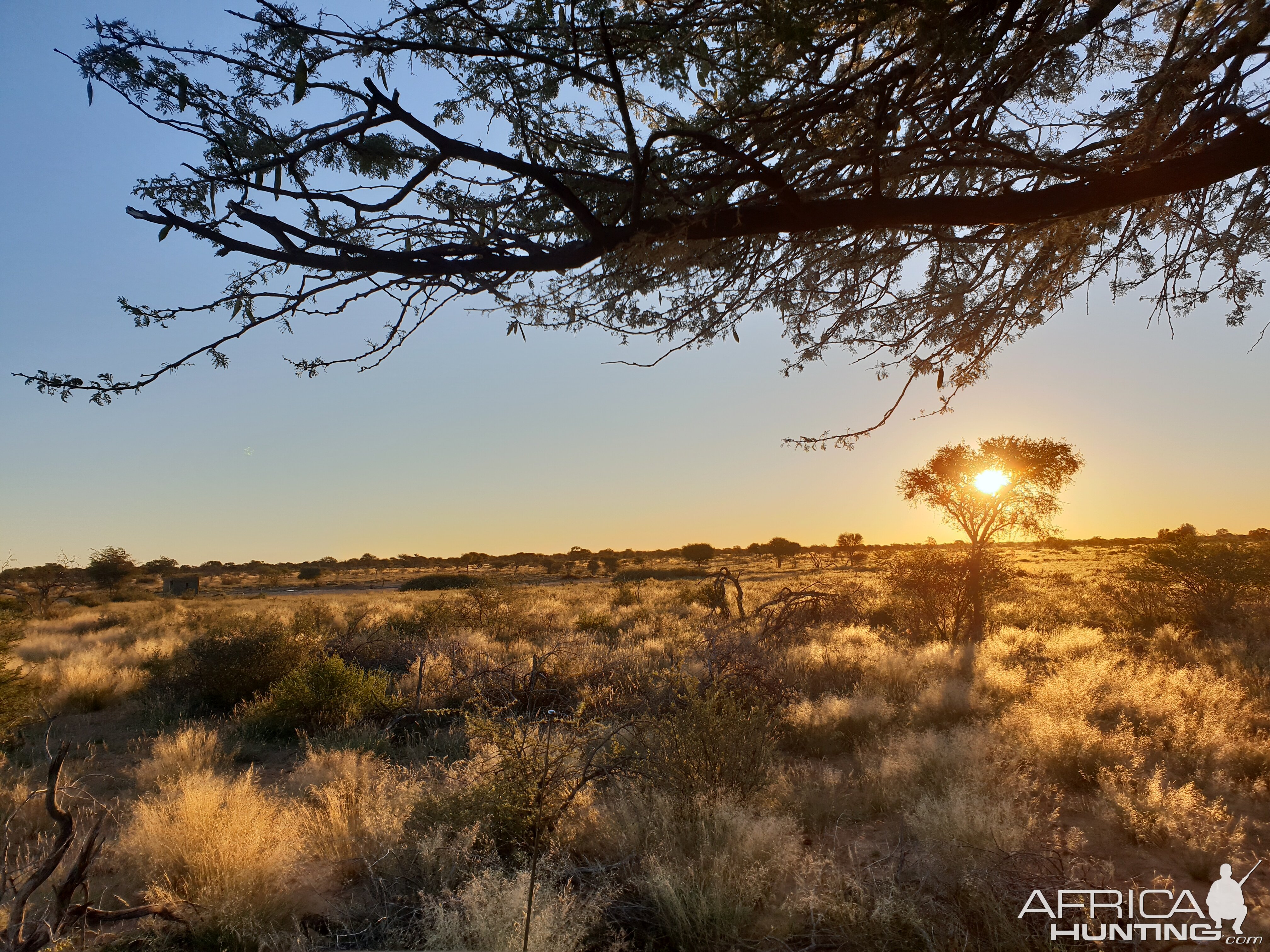 Hunting the Kalahari South Africa