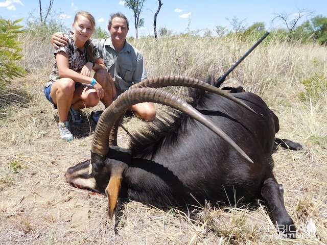 Hunting the Sable Antelope Shangani  Zimbabwe