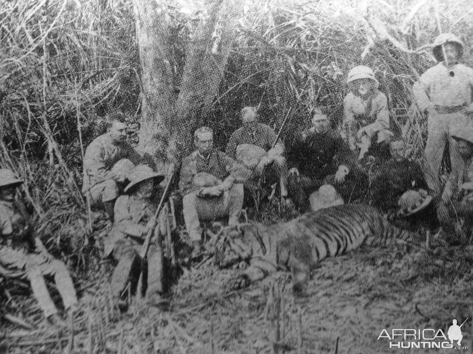 Hunting Tiger 1885