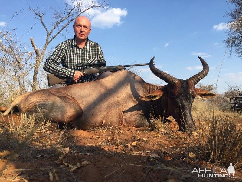 Hunting Tsessebe in South Africa