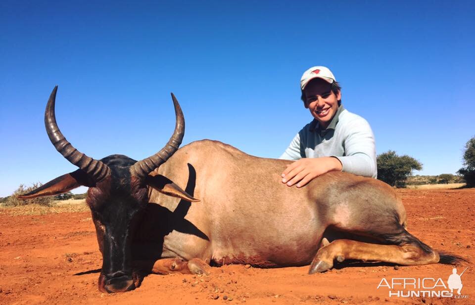 Hunting Tsessebe South Africa