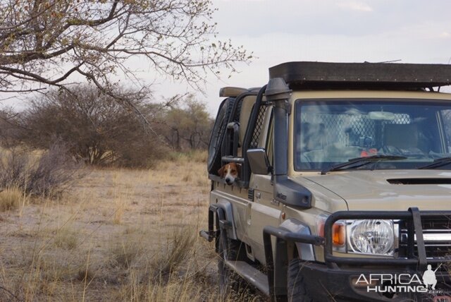 Hunting Vehicle Botswana