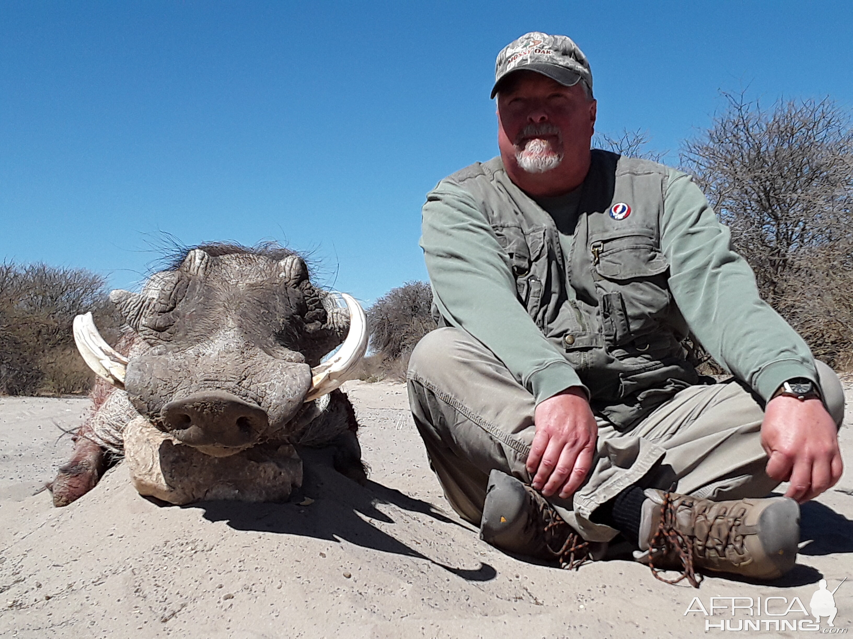 Hunting Warthog in Botswana