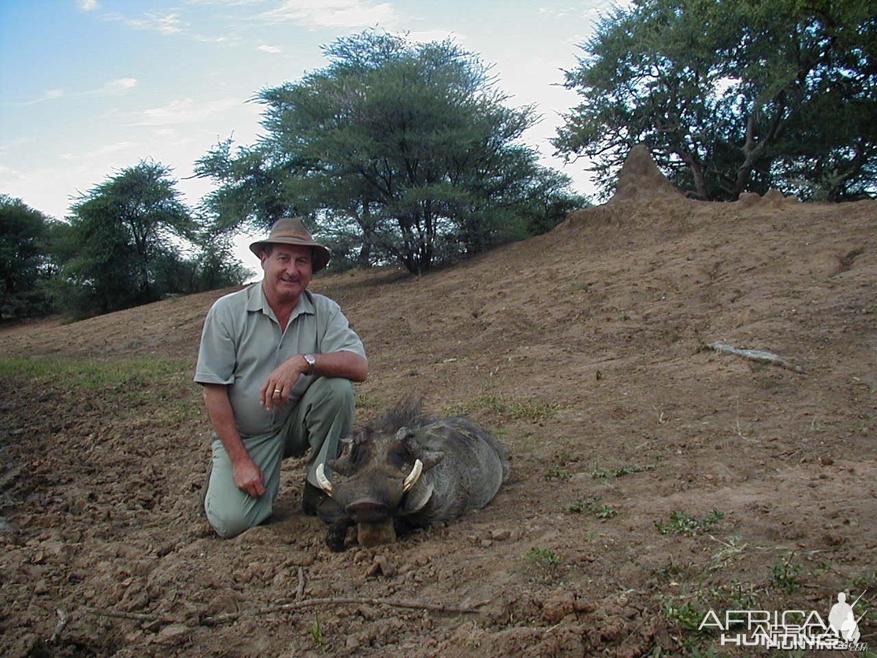 Hunting Warthog in Namibia