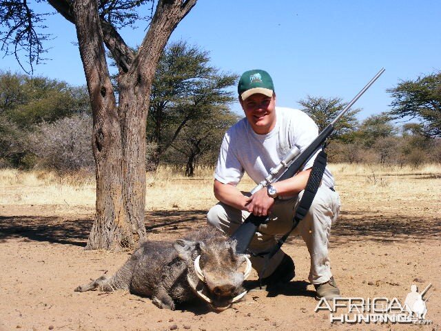 Hunting Warthog in Namibia