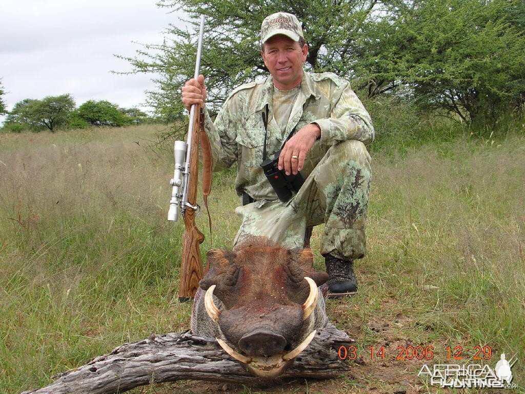 Hunting Warthog in Namibia