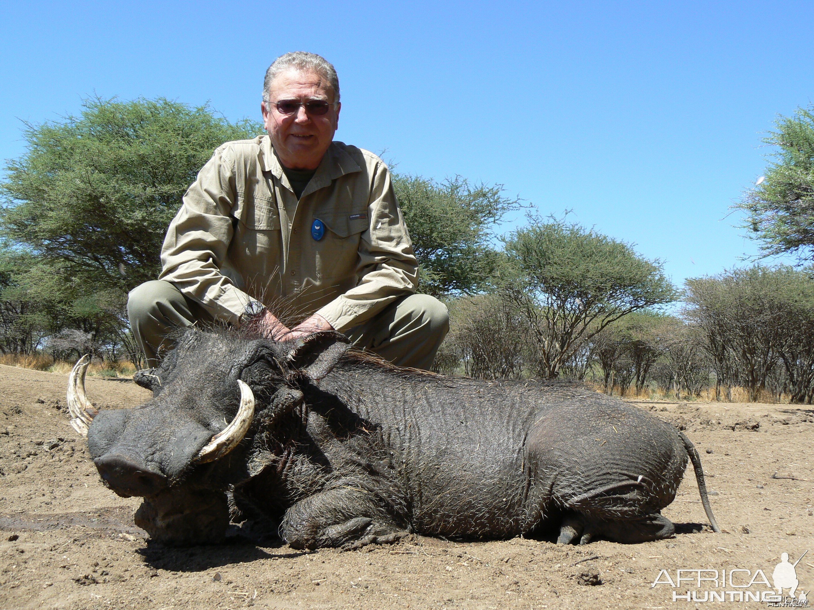 Hunting Warthog in Namibia