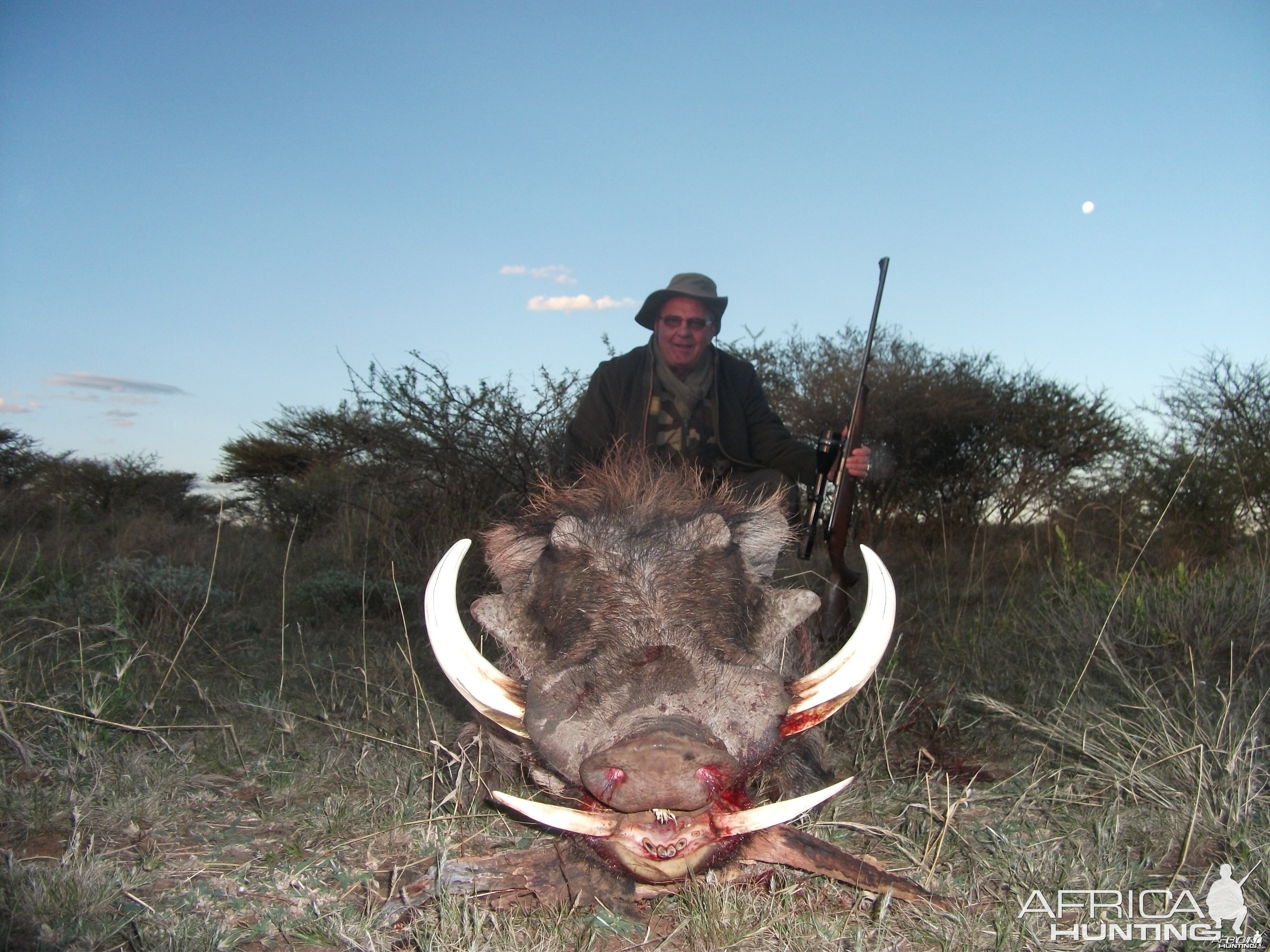 Hunting Warthog in Namibia