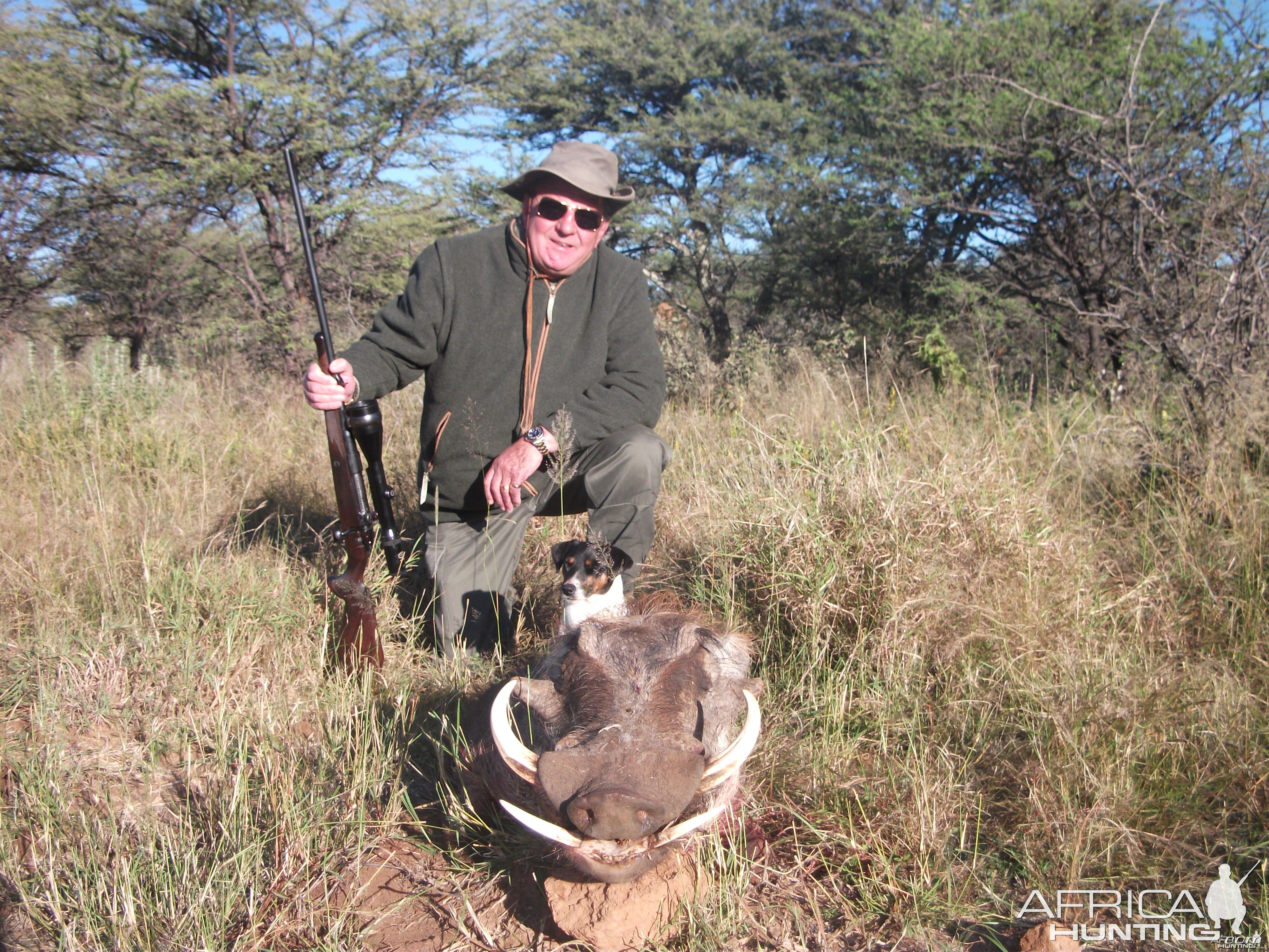 Hunting Warthog in Namibia