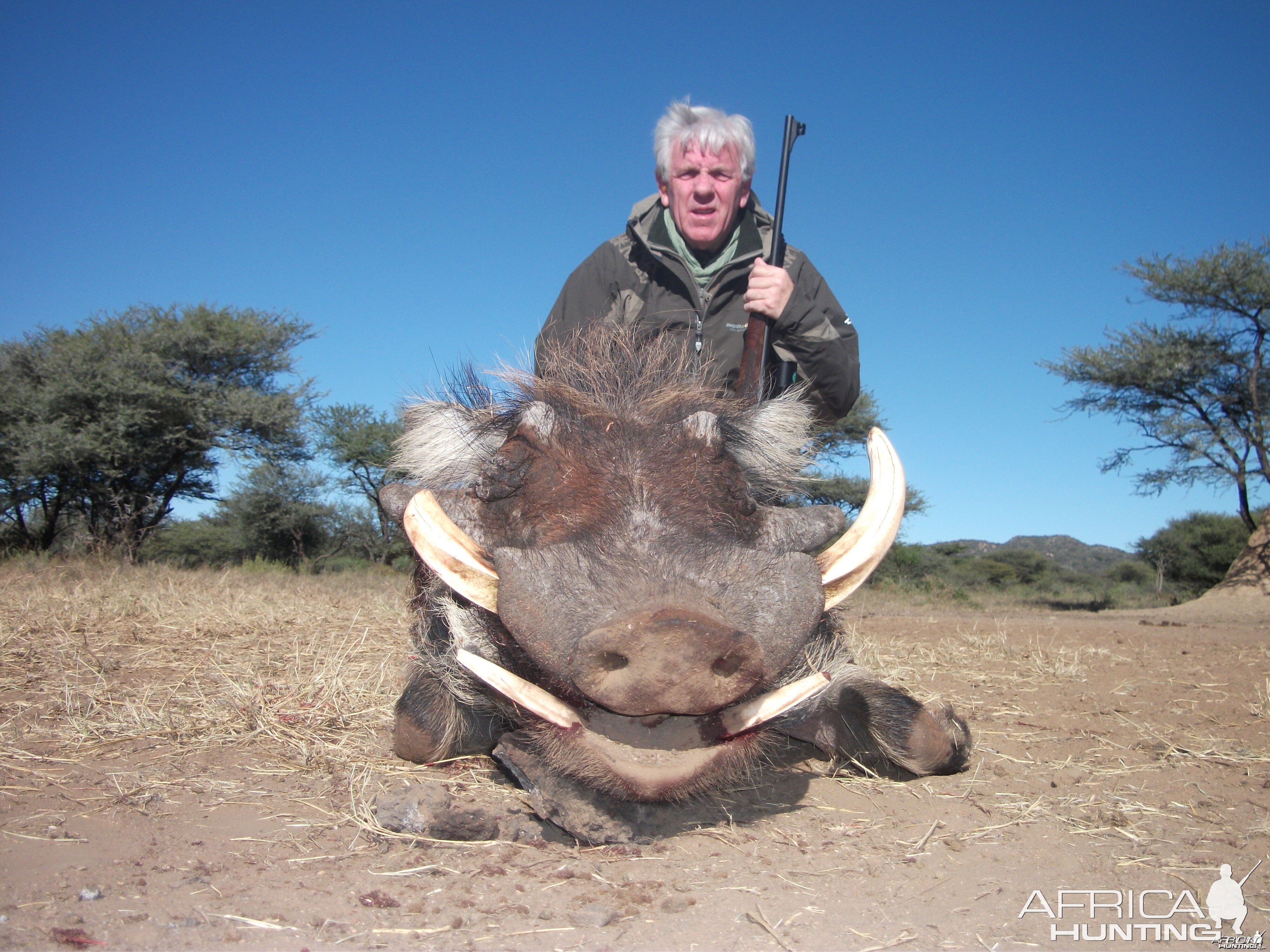 Hunting Warthog in Namibia