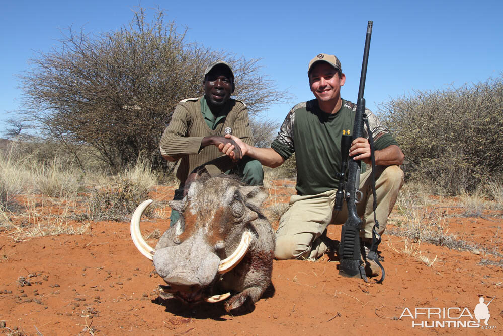 Hunting Warthog in Namibia