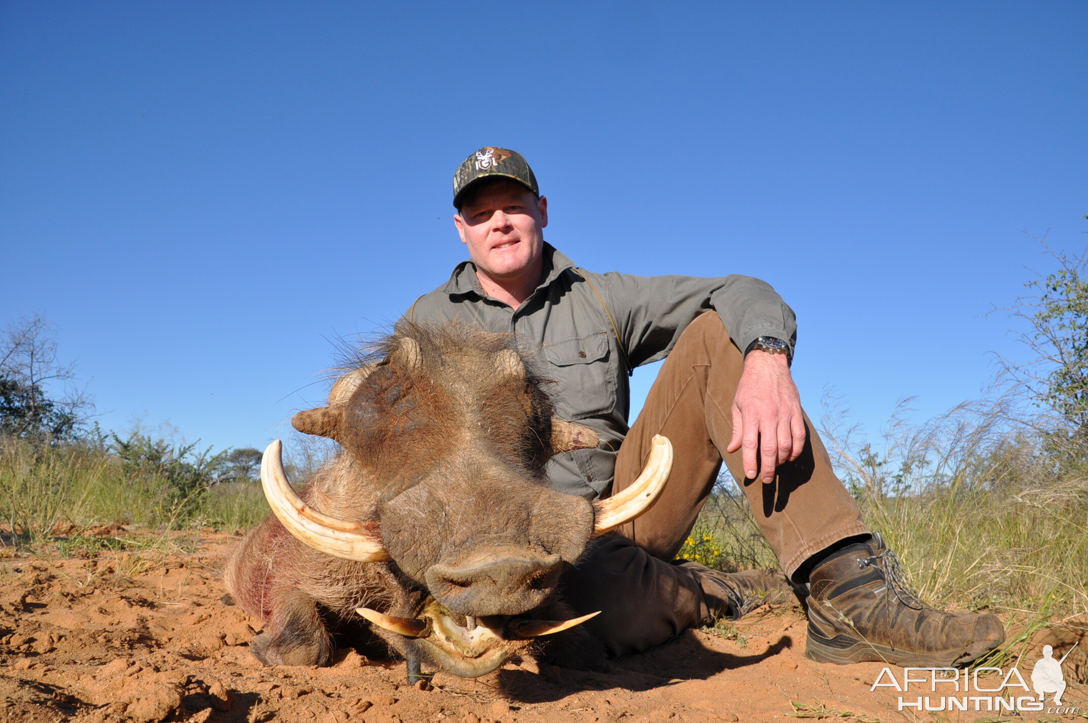 Hunting Warthog in Namibia