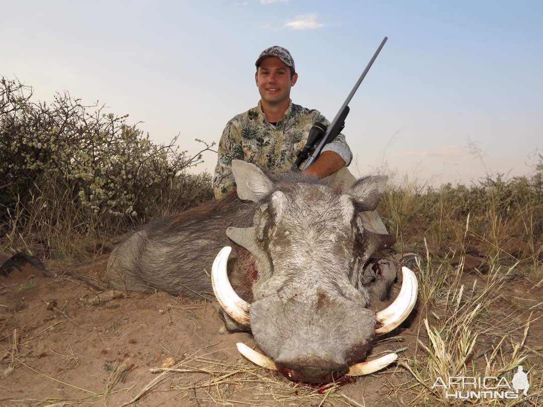 Hunting Warthog in Namibia