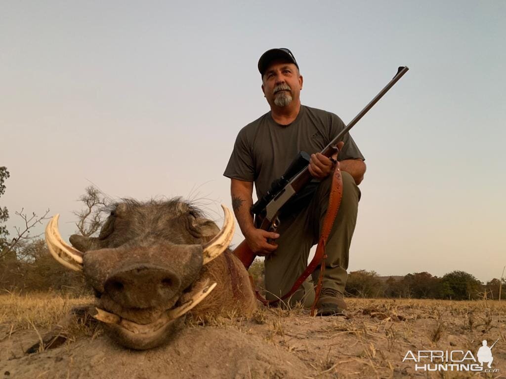 Hunting Warthog in South Africa