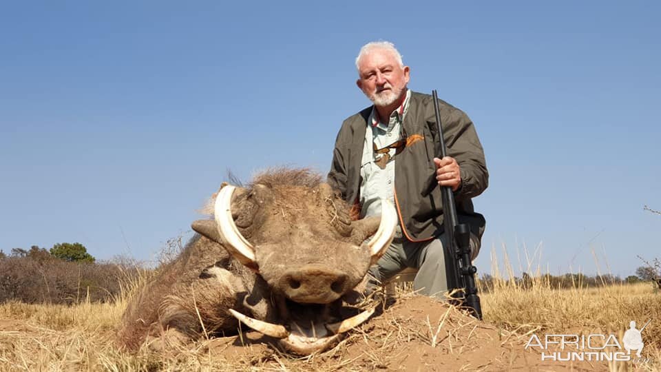 Hunting Warthog in South Africa