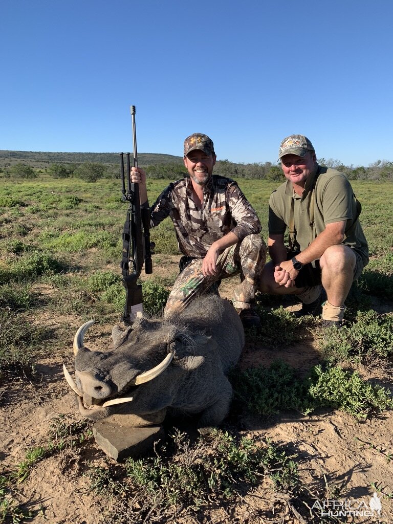 Hunting Warthog in South Africa