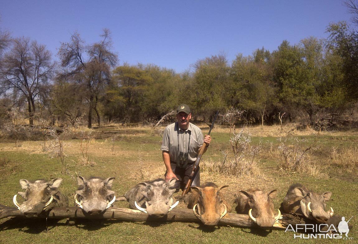 Hunting Warthog in South Africa