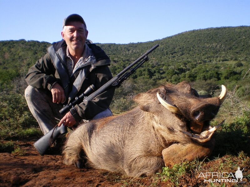 Hunting Warthog in South Africa