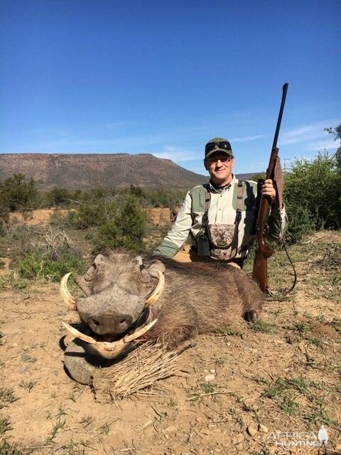 Hunting Warthog in South Africa