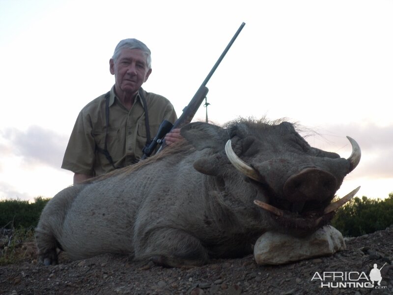 Hunting Warthog in South Africa