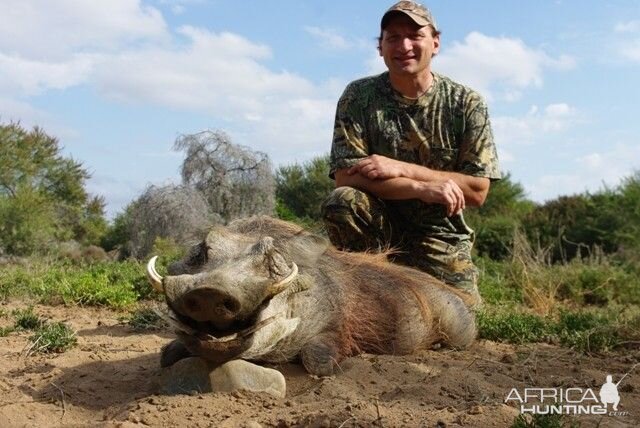 Hunting Warthog in South Africa